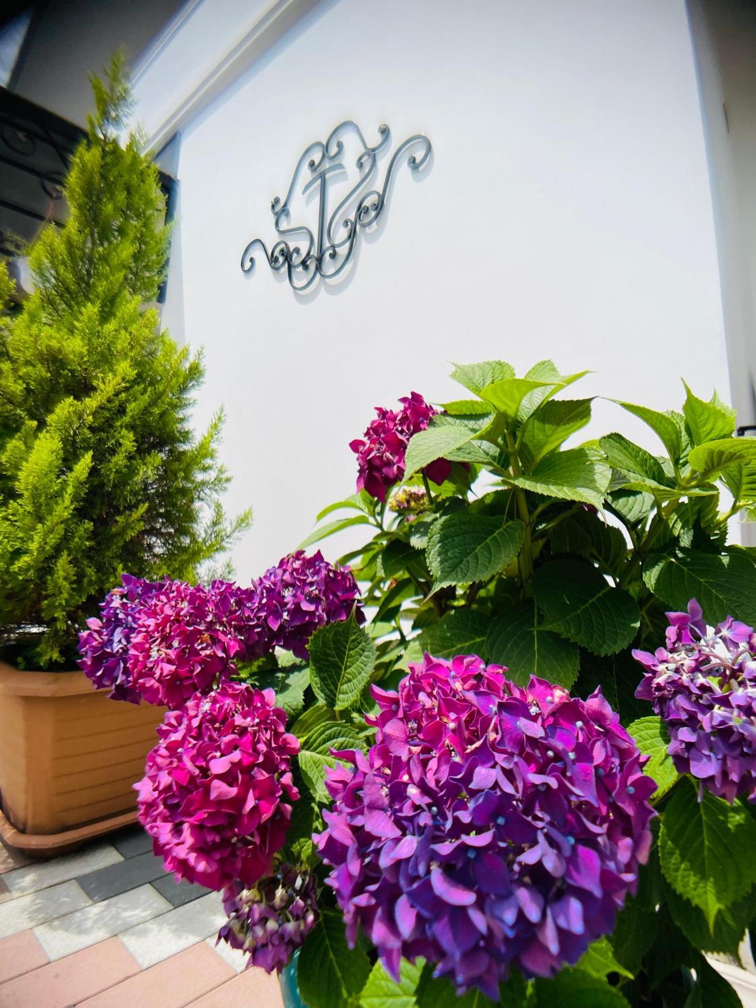 Hotel Tramonto Chakvi Ngoại thất bức ảnh